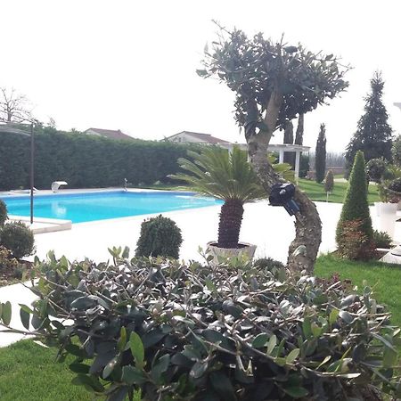 Вілла Agriturismo Sant' Isidoro Ананьї Екстер'єр фото